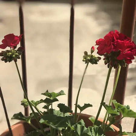 Apartamento Casa Gianluca Torretta (Calabria)